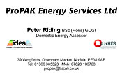 ProPak Energy Services